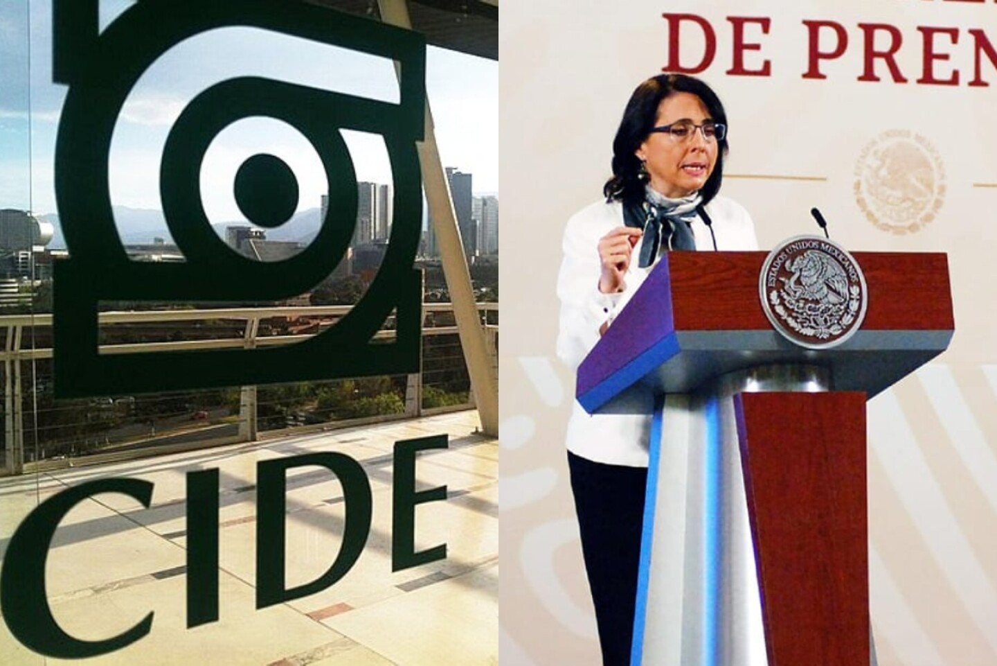 cide-conacyt
