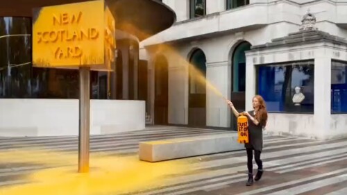 Activista de Just Stop Oil