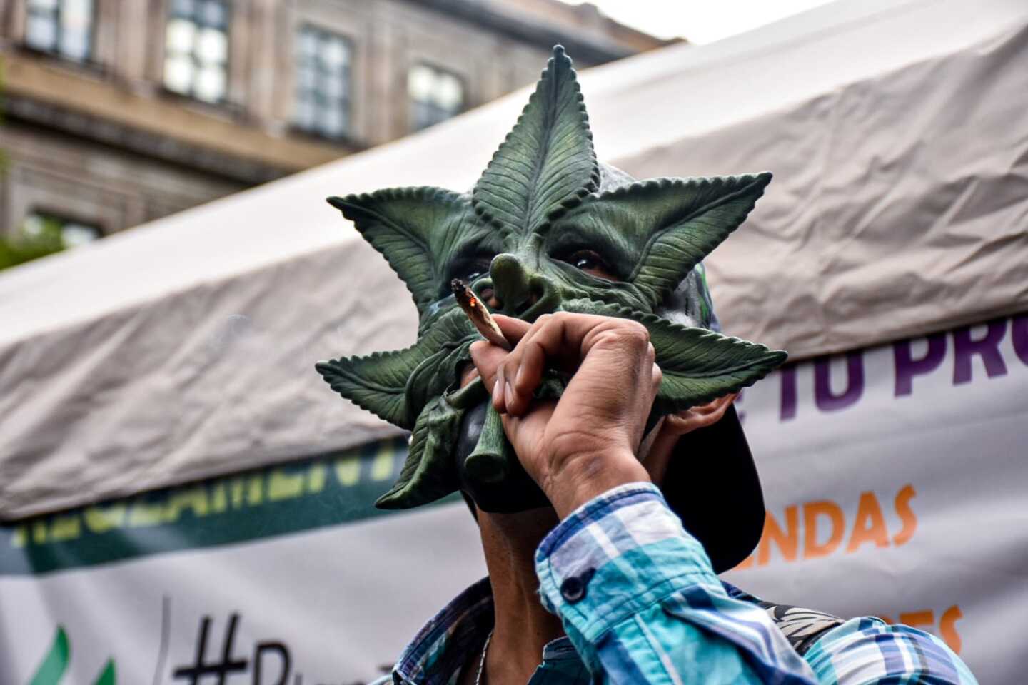 marihuana_cannabis_cigarro_fumaton_