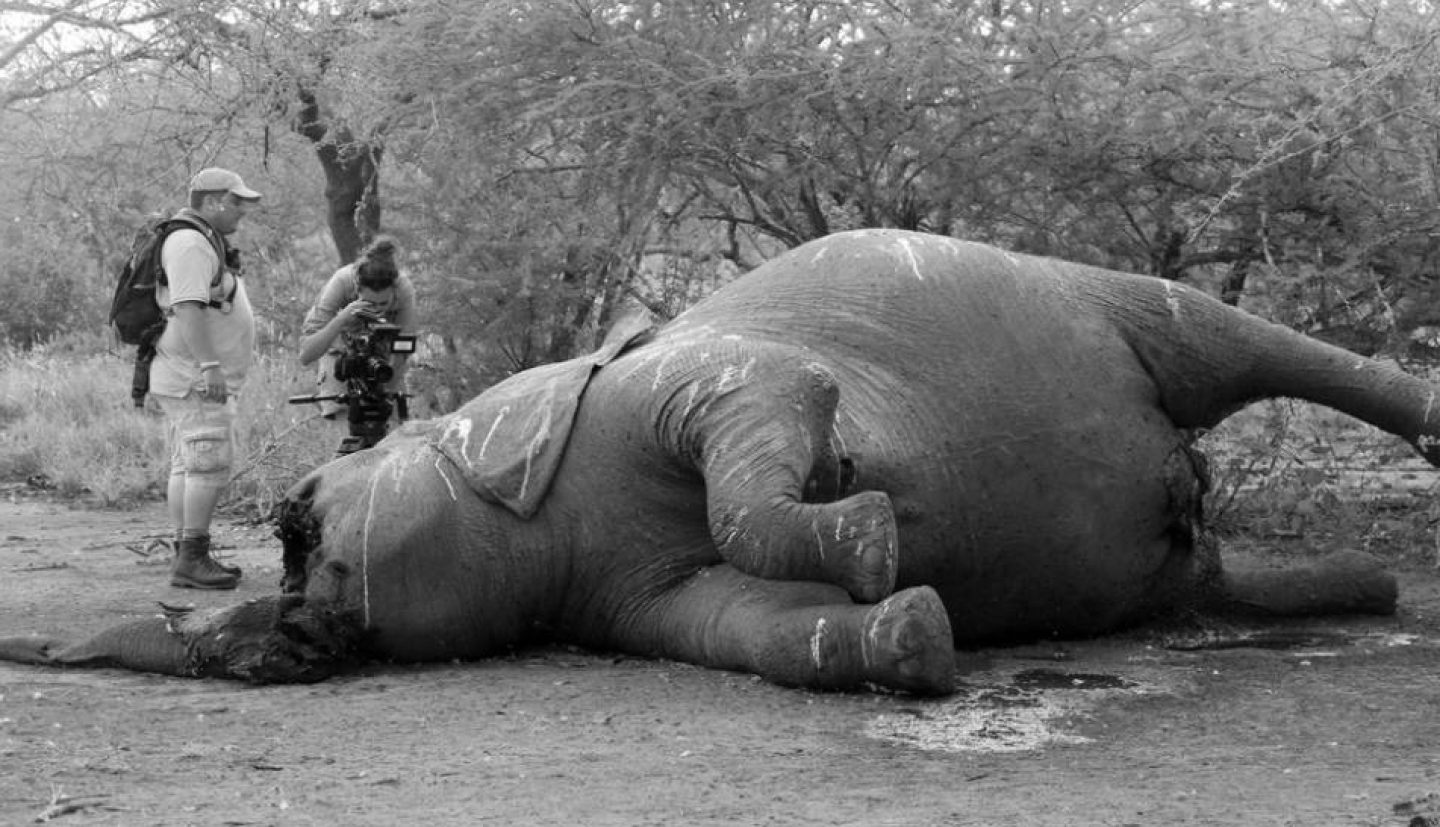 Captura de pantalla 2017-11-16 a las 6.19.39 p.m.