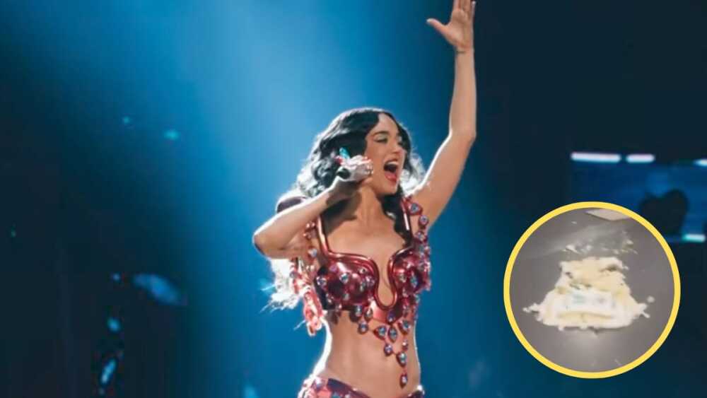 WhatsApp Image 2025-10-30 at 5.55.25 PM.jpeg