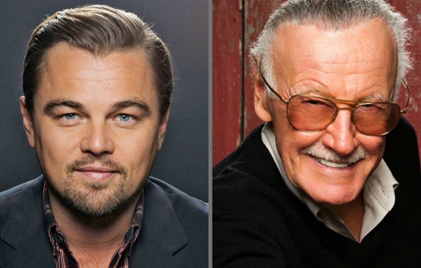 Collage DiCaprio-Lee