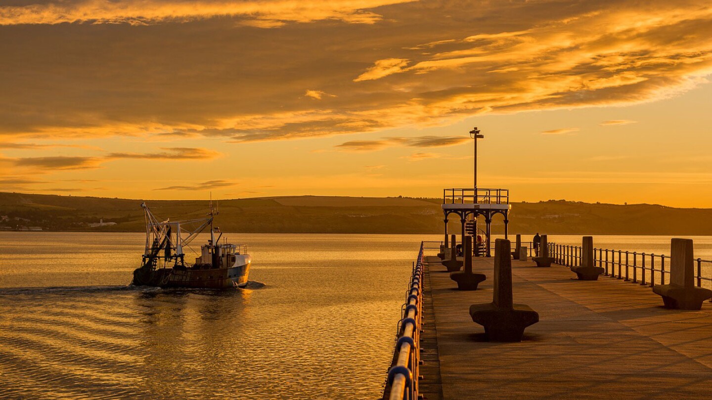 muelle