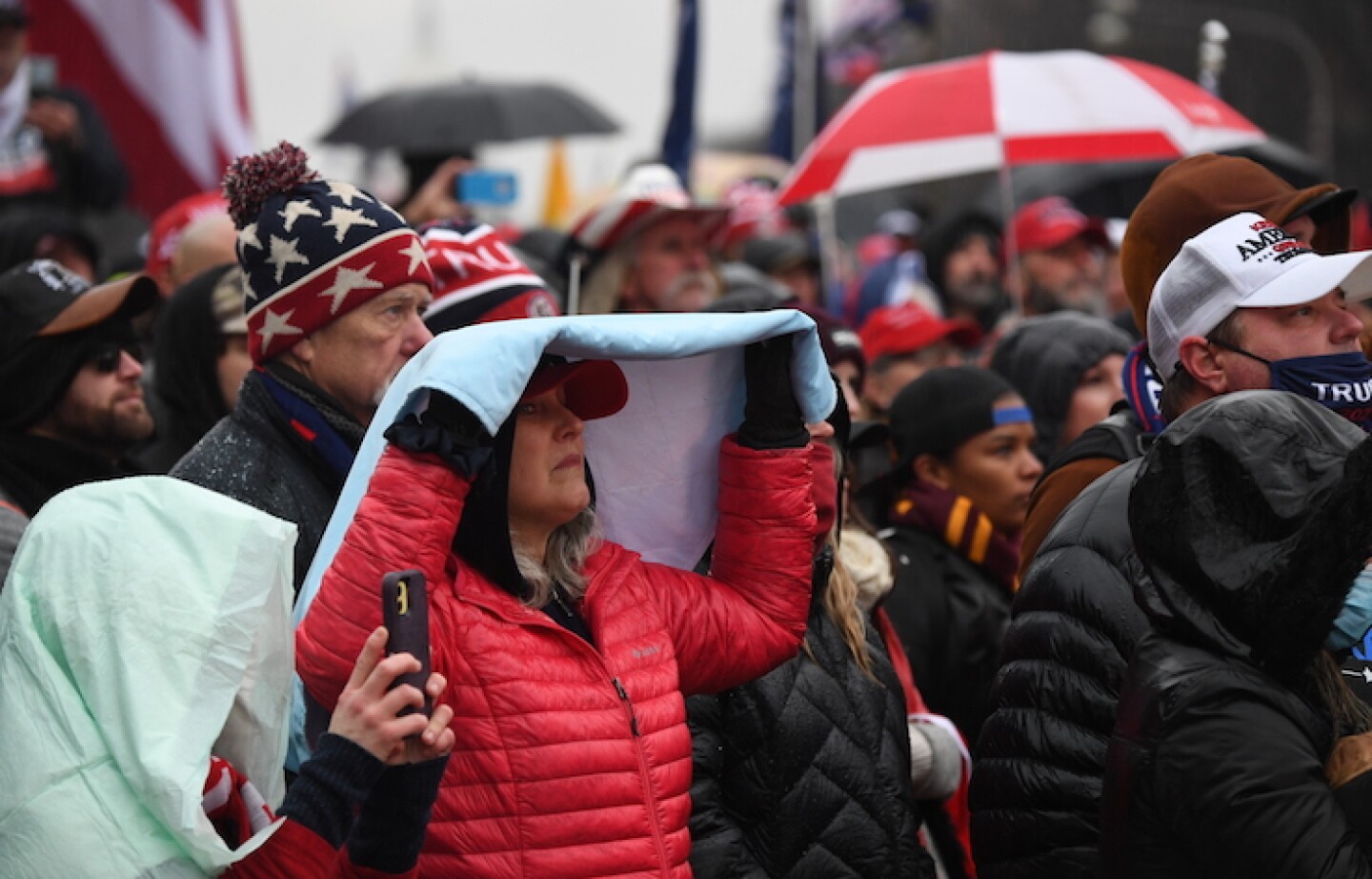 Trump supporters rally in Freedom Plaza