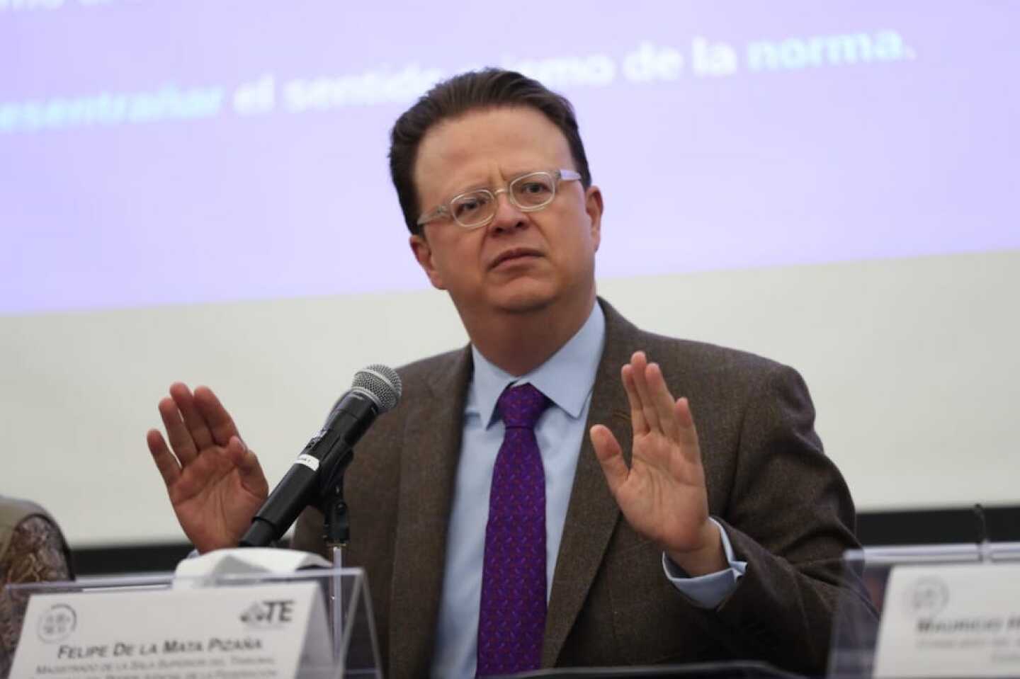 Felipe de la Mata Pizaña