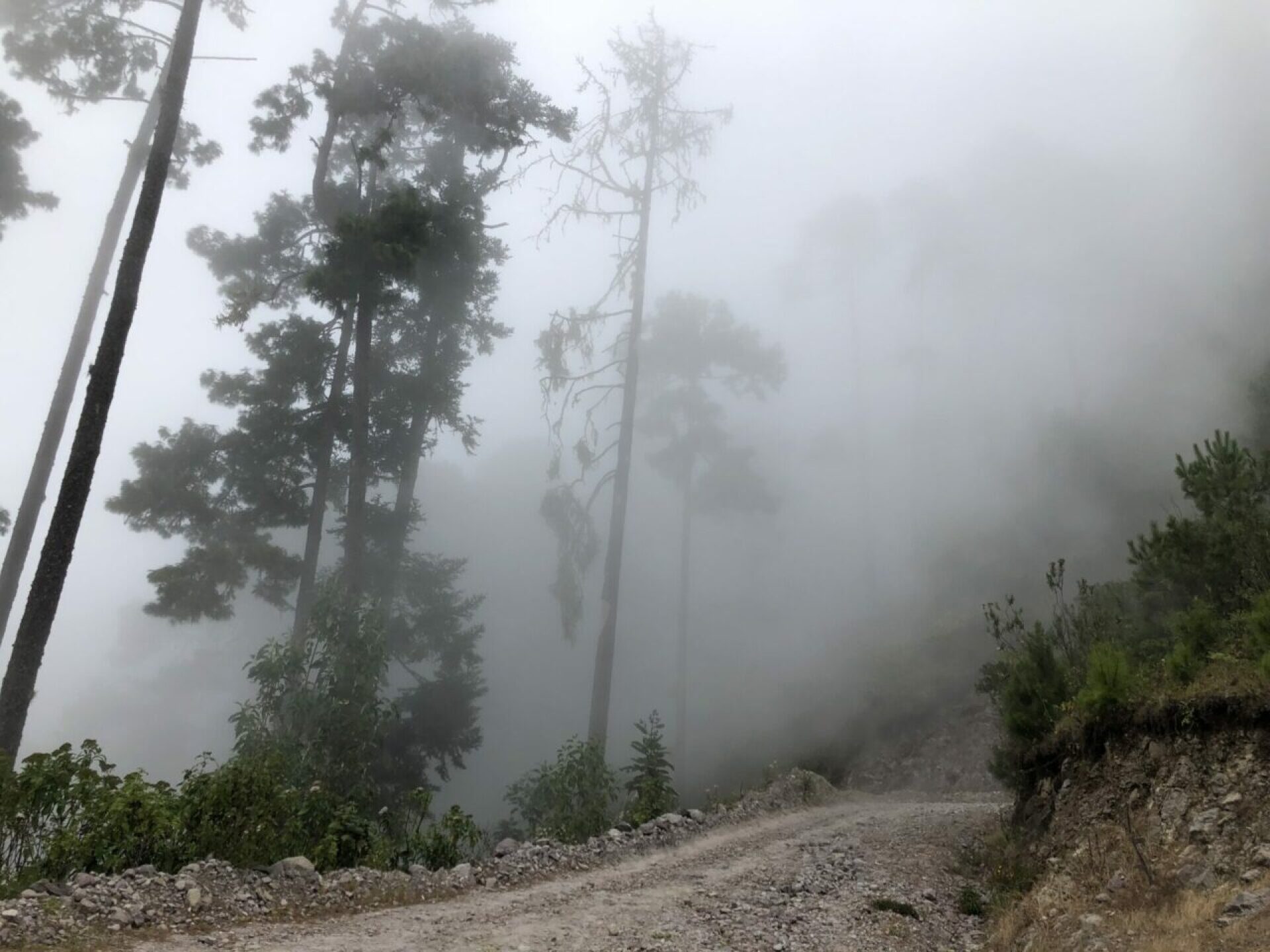 sierra-oaxacca-mixe-1280x960