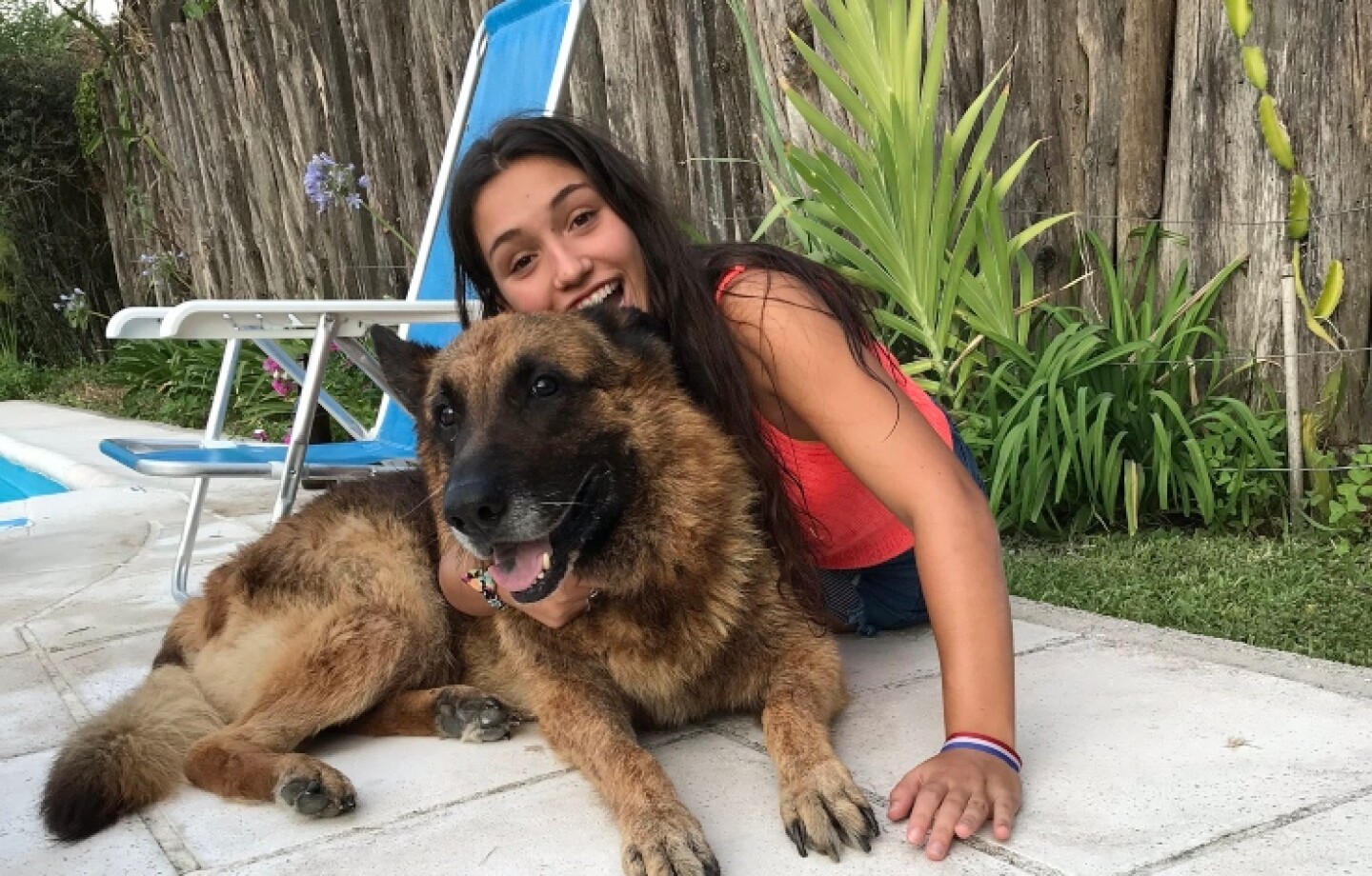 ejecentral_sesión_fotos_perro