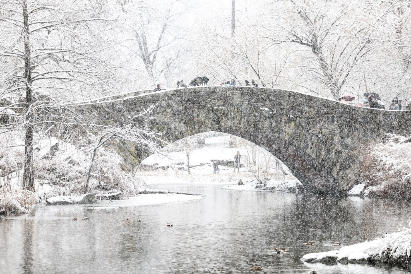 Snowstorm in Northeast US