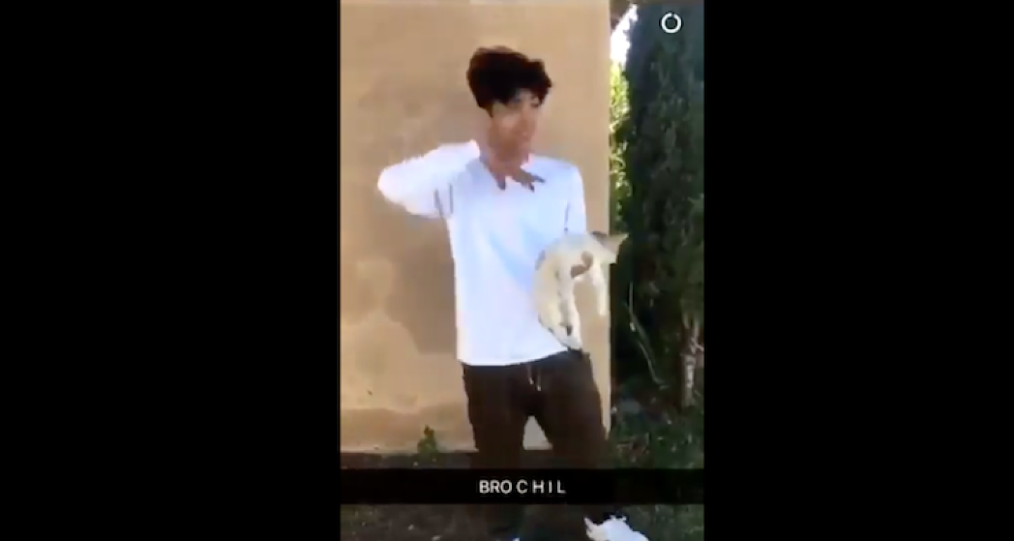 Captura de pantalla 2017-12-07 a las 6.37.07 p.m.