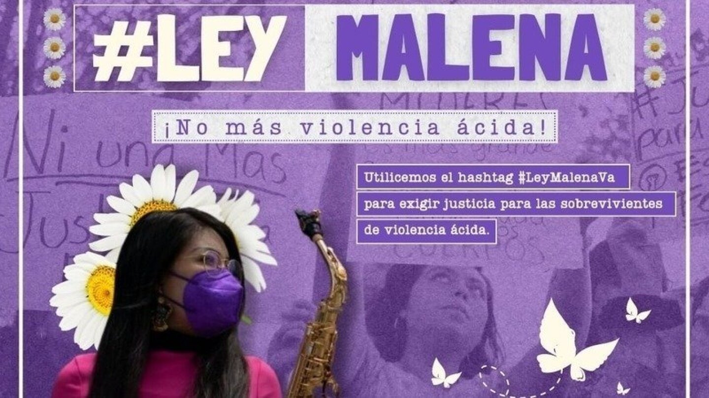ley-malena-violencia-acida
