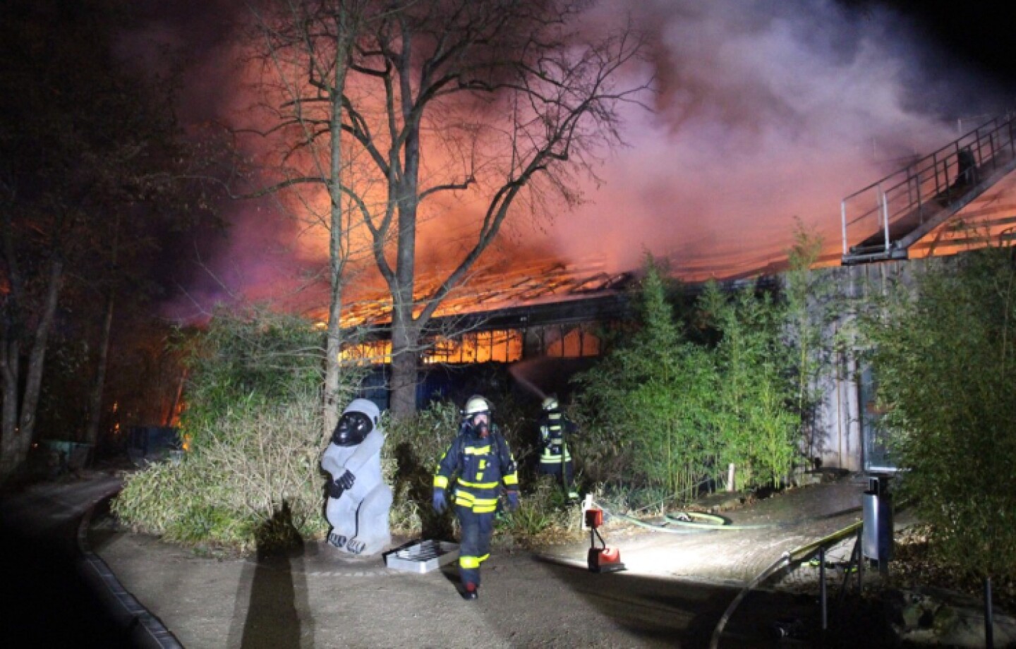 ejecentral_krefeld_incendio_zoológico