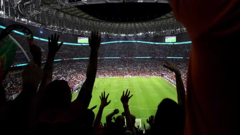 WhatsApp Image 2025-10-30 at 6.58.32 PM.jpeg