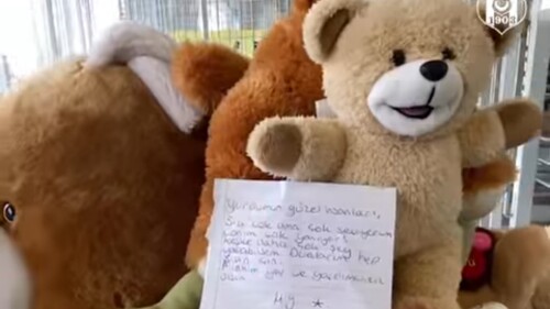 besiktas-osos-juguetes-peluches-damnificados-turquia