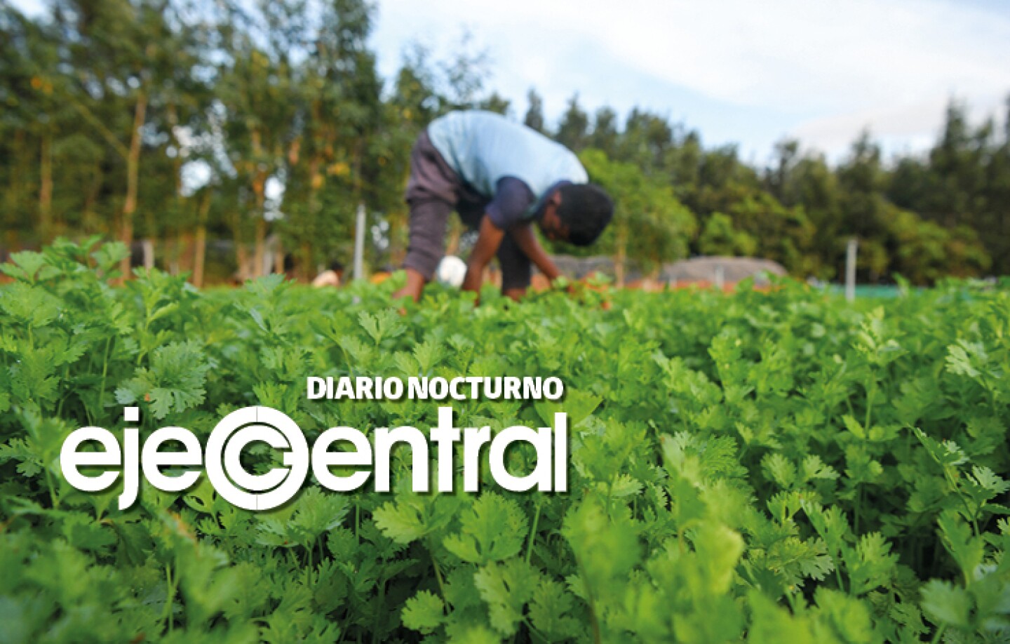 Promo_557_Xalapa y Soconusco, ejemplos para evitar desastre climático