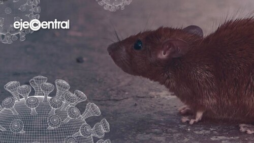 34908799-f3ce-47d6-8390-cb1ebd4bbcd4