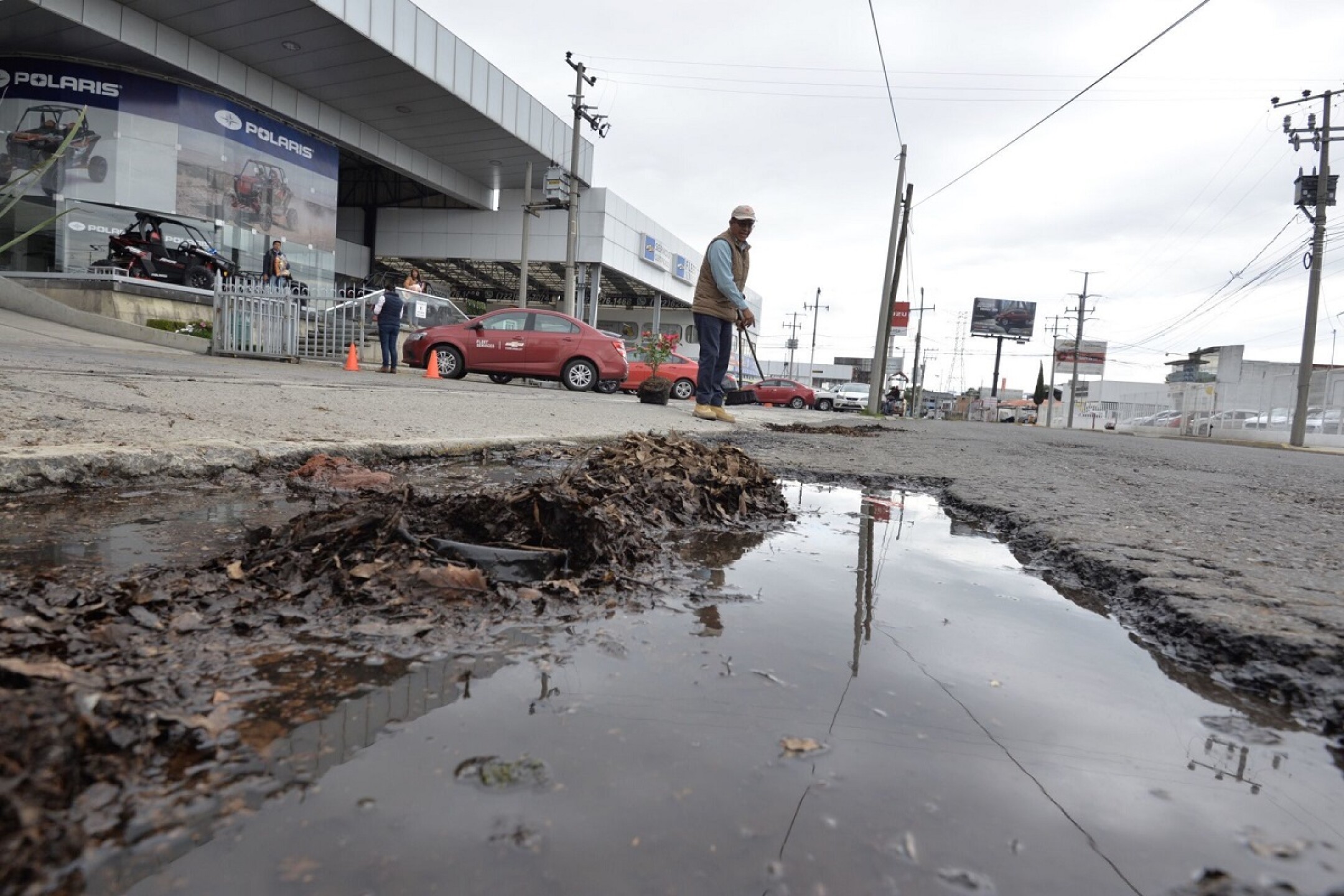 Baches