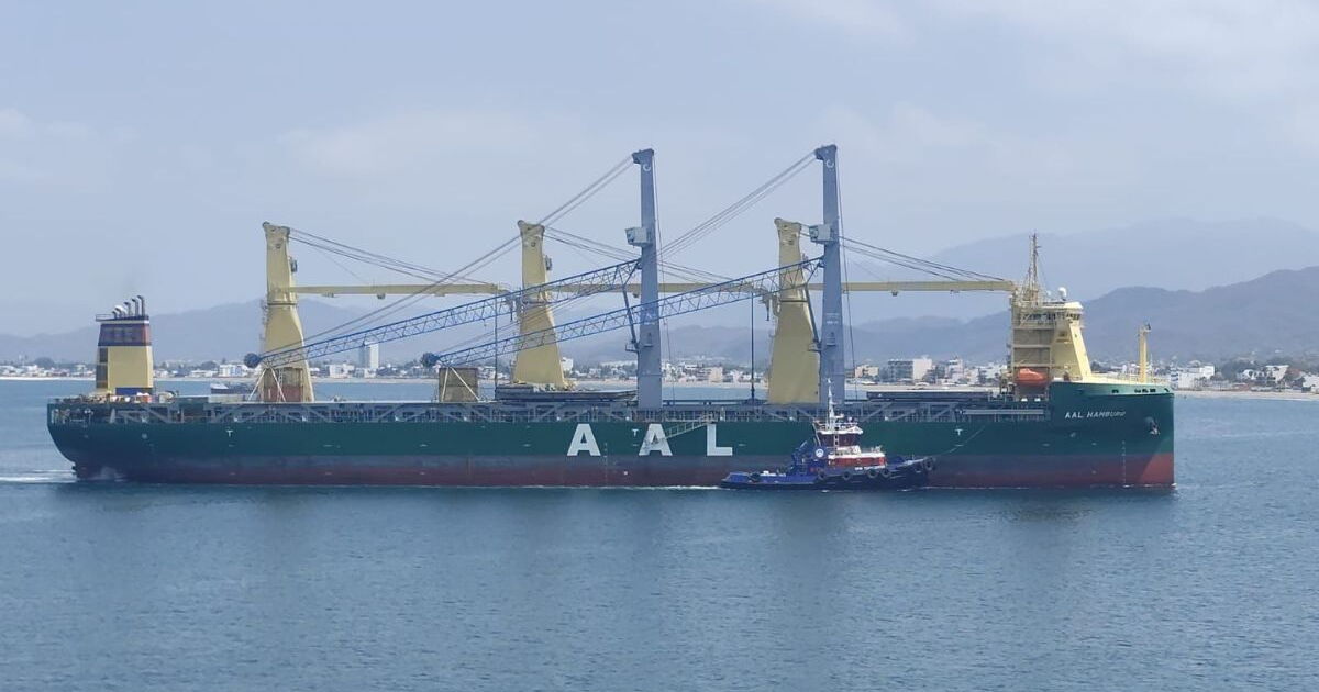 Timsa Hutchison Ports TIMSA suma nuevas grúas eléctricas y avanza hacia cero ...