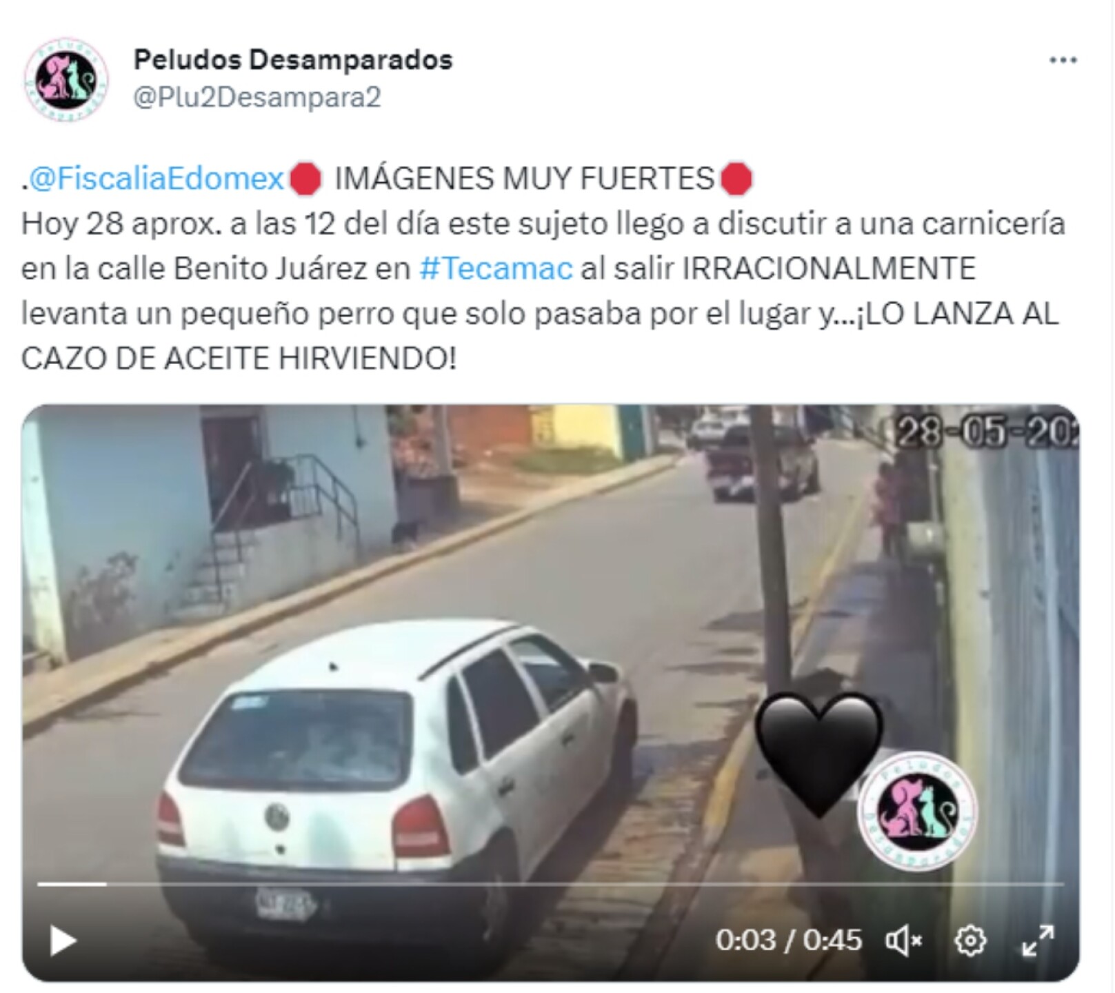 maltrato-animal-tecamac-edomex-perro