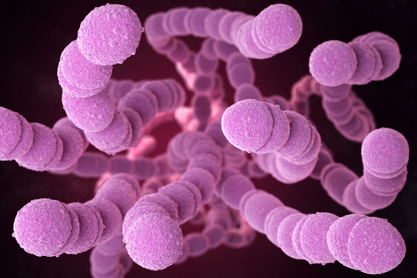 streptococcus-pneumoniae-bacteria