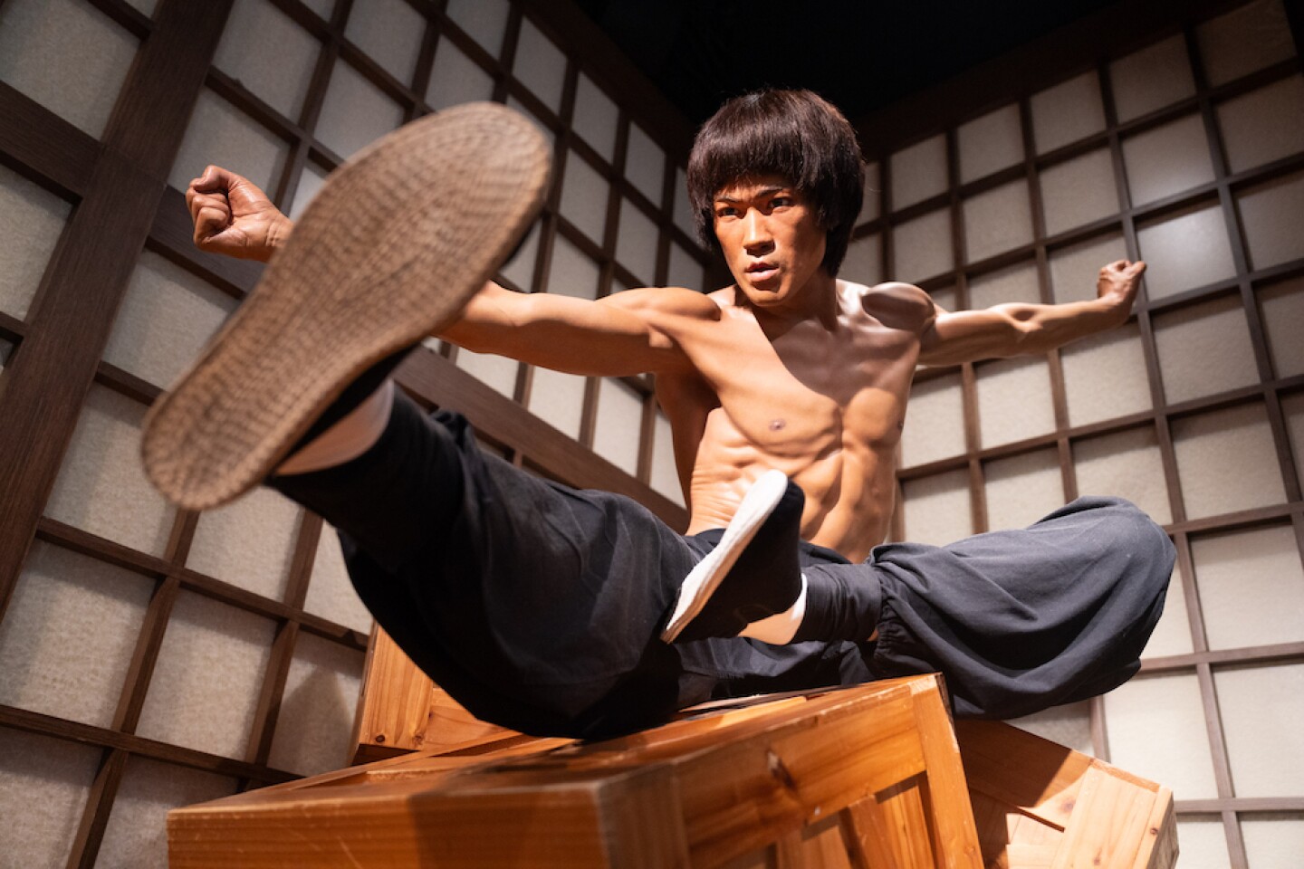Bruce-Lee-ejecentral