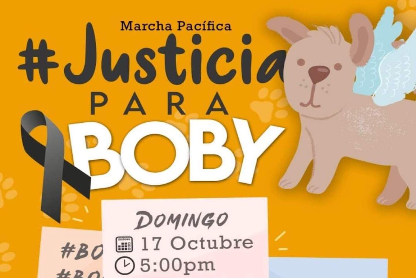 justicia-boby