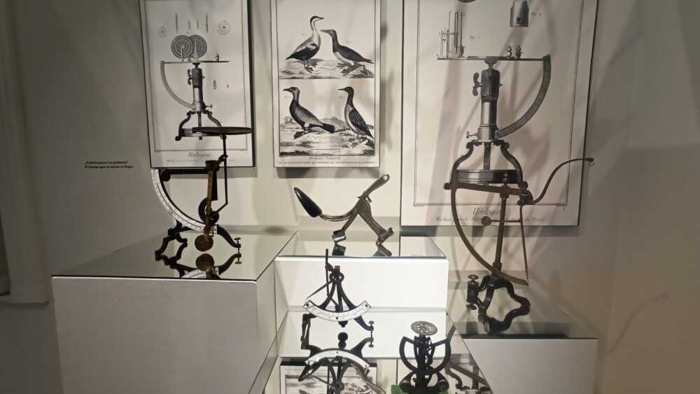 exposicion_sin_sentido_sinsentido_modo_museo_del_objeto_