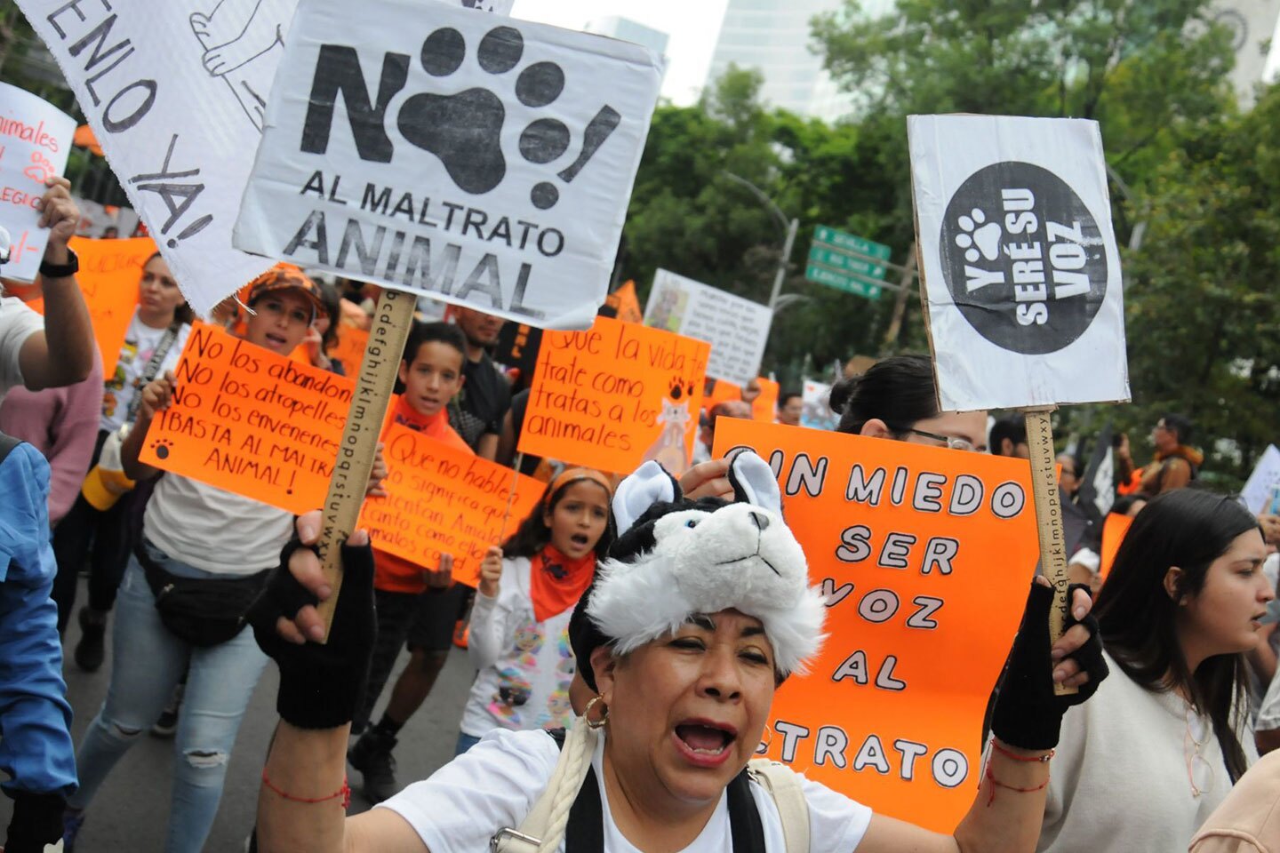 Maltrato-animal-marcha.jpg