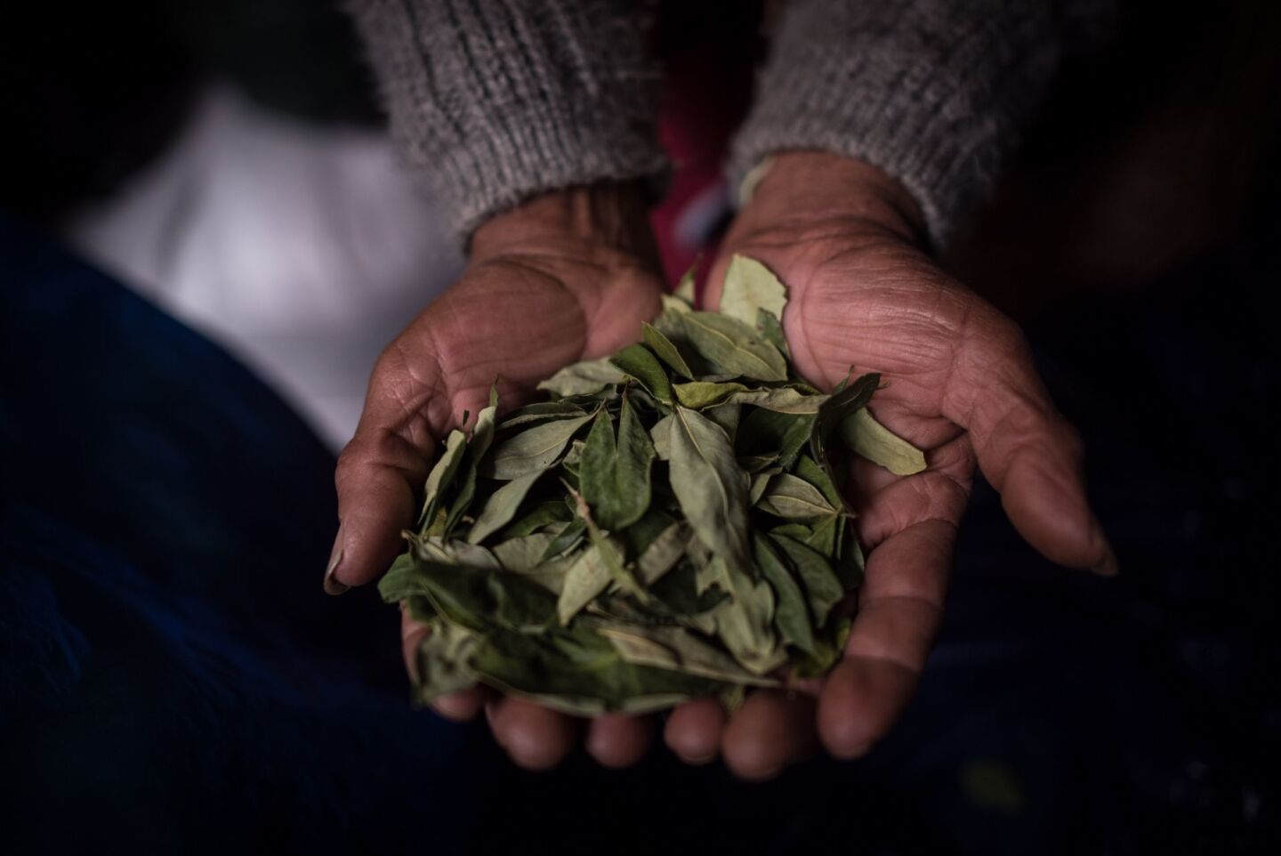 LA PAZ, BOLIVIA, 25NOVIEMBRE2019.- Aspectos del Mercado ADEPCOCA. Ubicado en el barrio paceño de Villa Fátima, el mercado es el principal central de abasto de hoja de coca proveniente de productores de la región de los Yungas. Existen dos centros o regiones principales en donde se cultiva y desde donde se distribuye la hoja de coca, la región de los Yungas, ubicada en el Departamento de La Paz, y la del Chapare, ubicada en el Departamento de Cochabamba.FOTO: PEDRO ANZA /CUARTOSCURO.COM