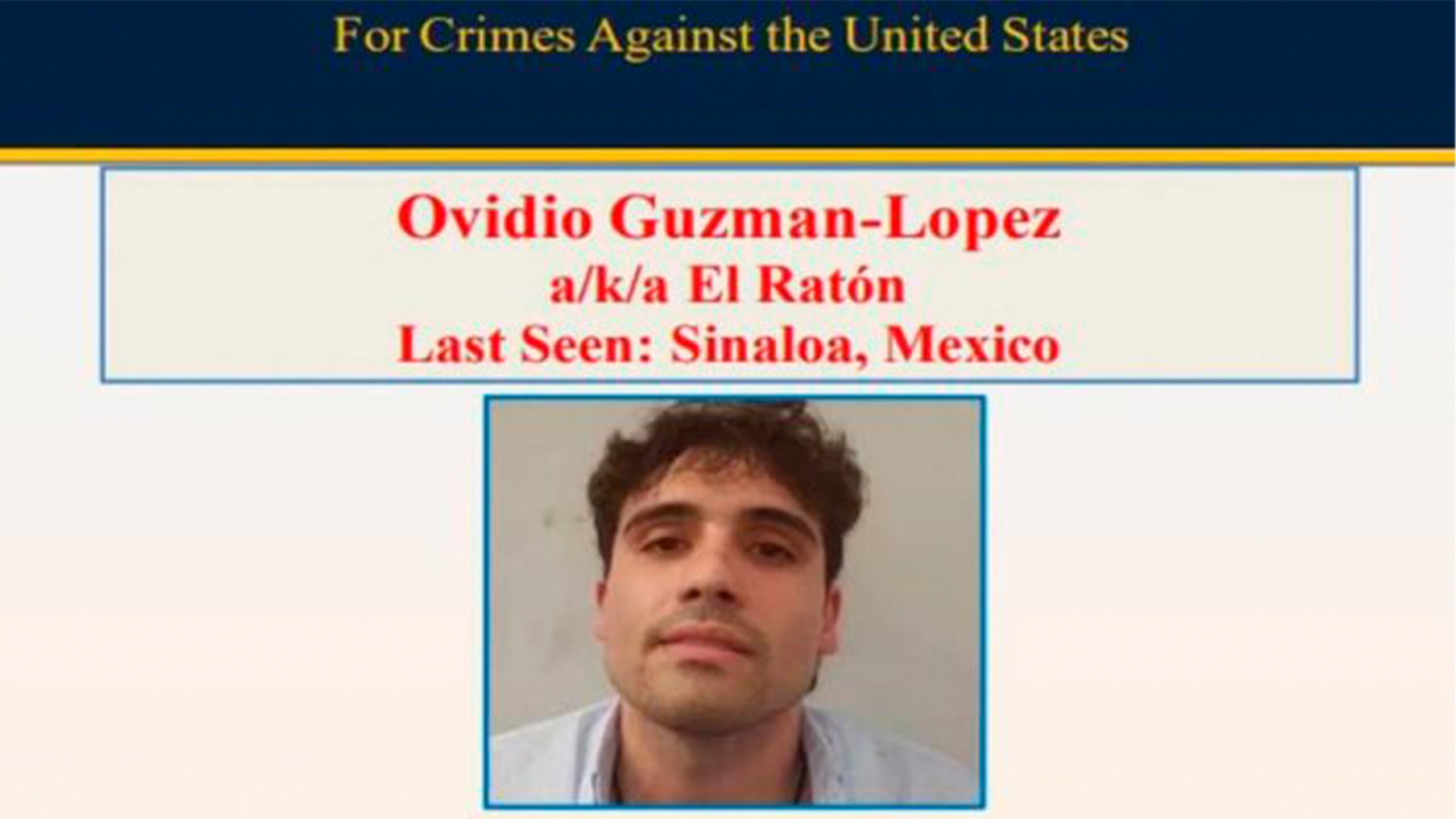 Ovidio Raton ¿Ovidio Guzmán, 'El Ratón', se declara culpable en EU? Este fue el ...