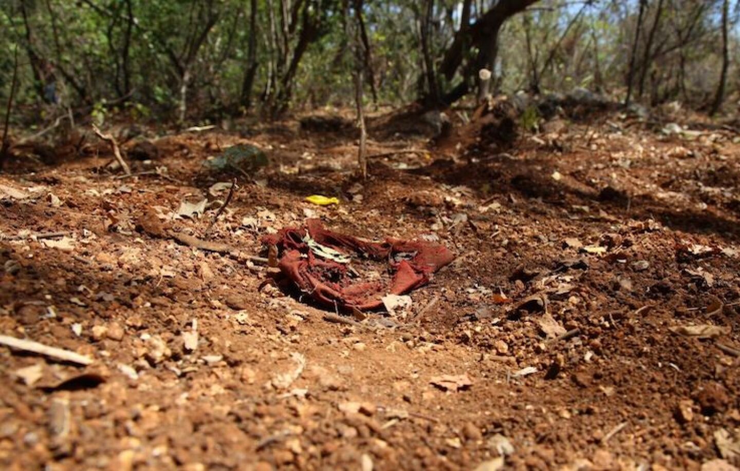 El Colectivo de Familiares de Desaparecidos en Guerrero reportaron varias fosas clandestinas en la colonia Alta Cuauhtémoc