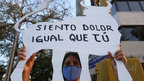corridas-de-toros-feria-de-san-cristobal
