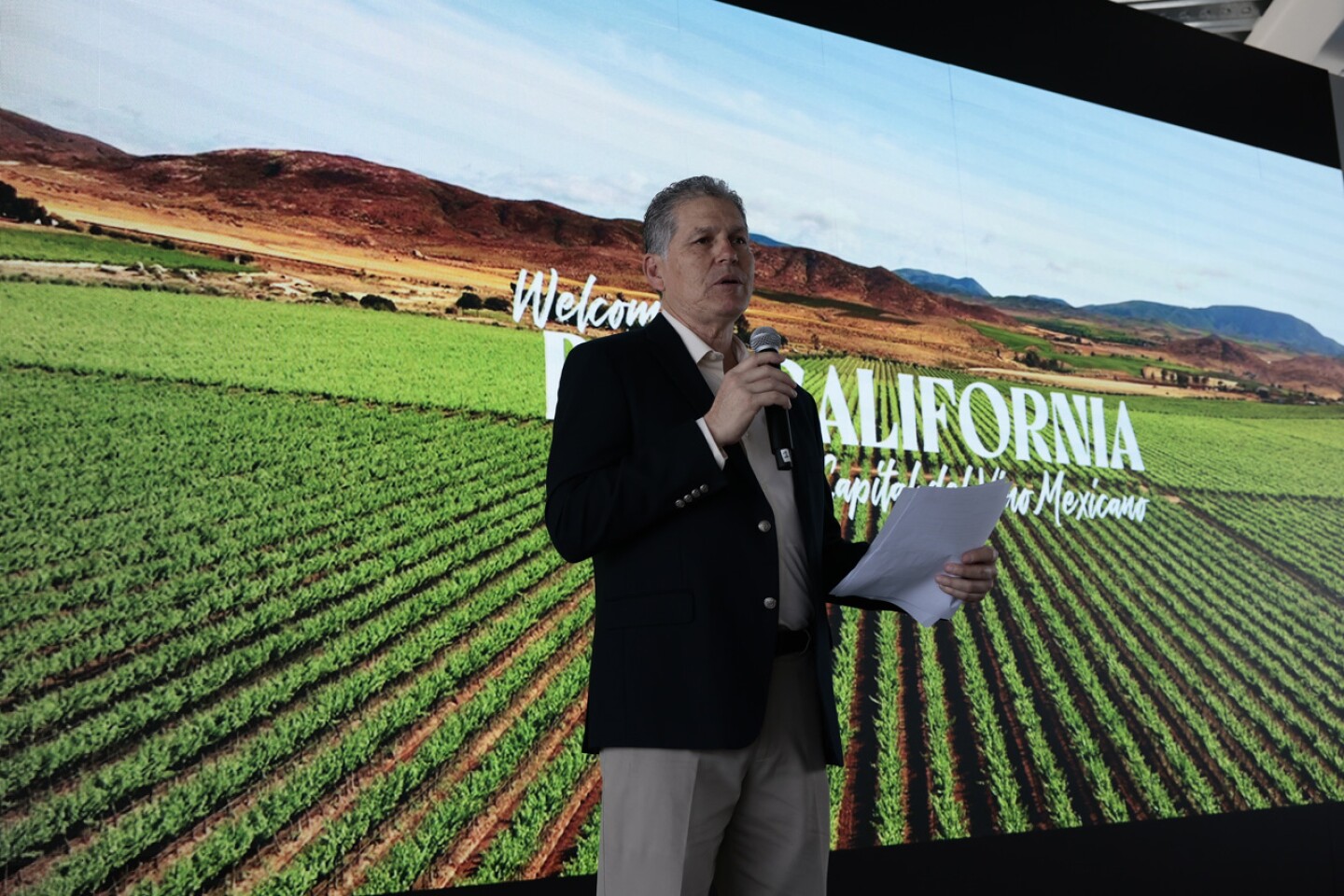 Productores vinícolas mexicanos esperan alza de 20 % en fabricación de vinos para 2023
