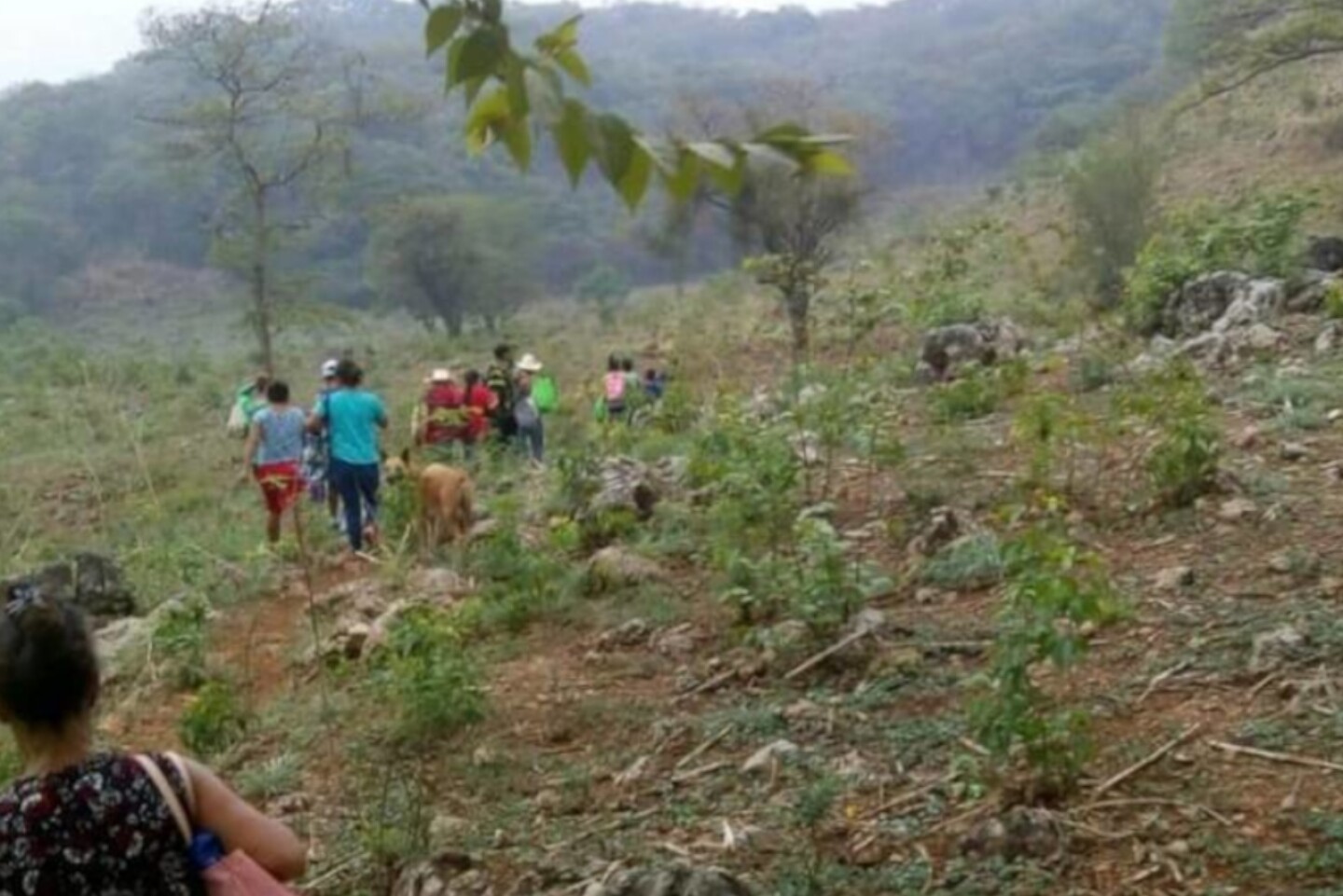 violencia Tzanembolom Chiapas