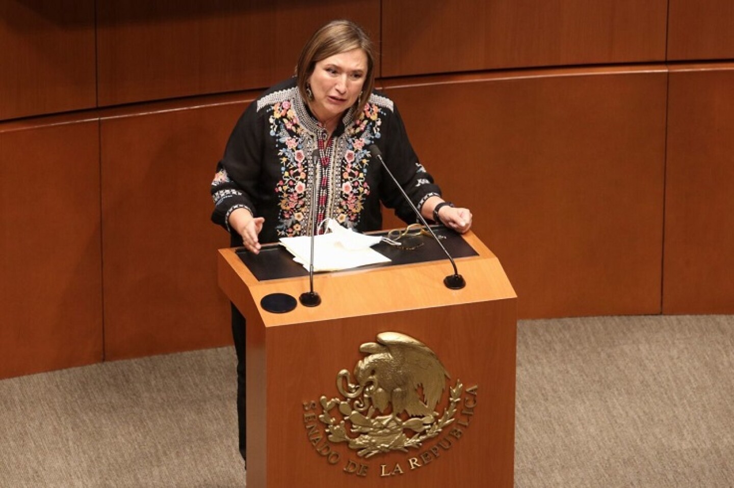 Xóchitl Gálvez Senado