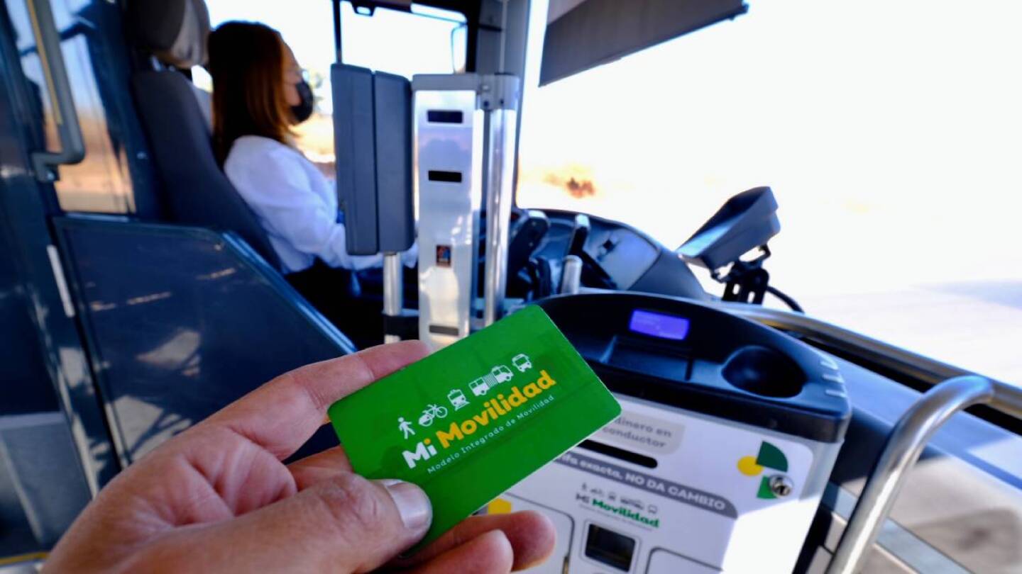 jalisco tajera movilidad celular