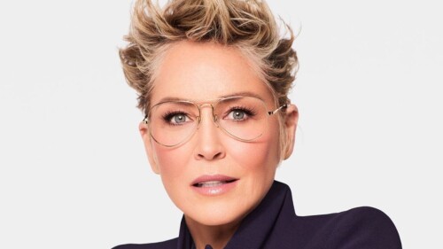 sharon_stone_perdio_mitad_fortuna_crisis_bancos_