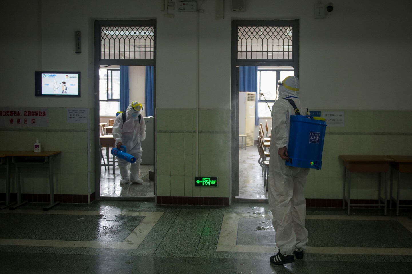 China emite alerta por un caso de peste bubónica