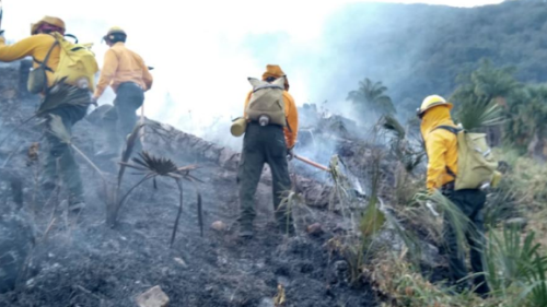 Captura de pantalla 2021-03-25 a la(s) 17.39.19