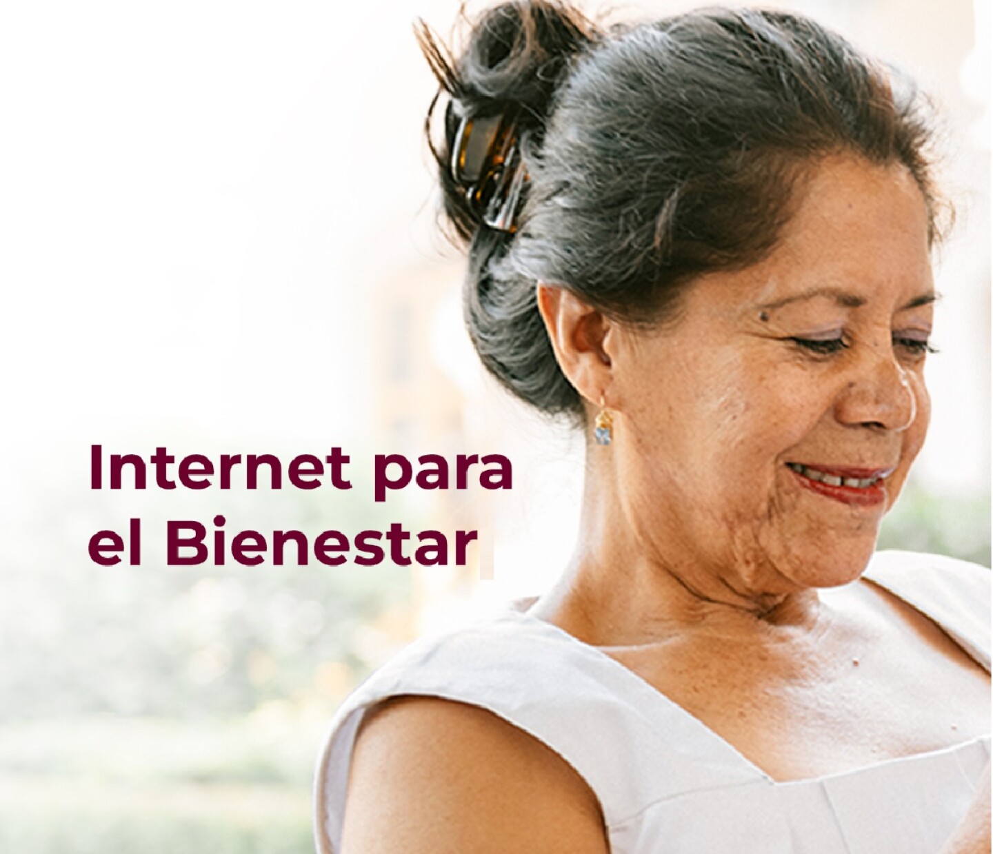 Internet para el bienestar.jpg