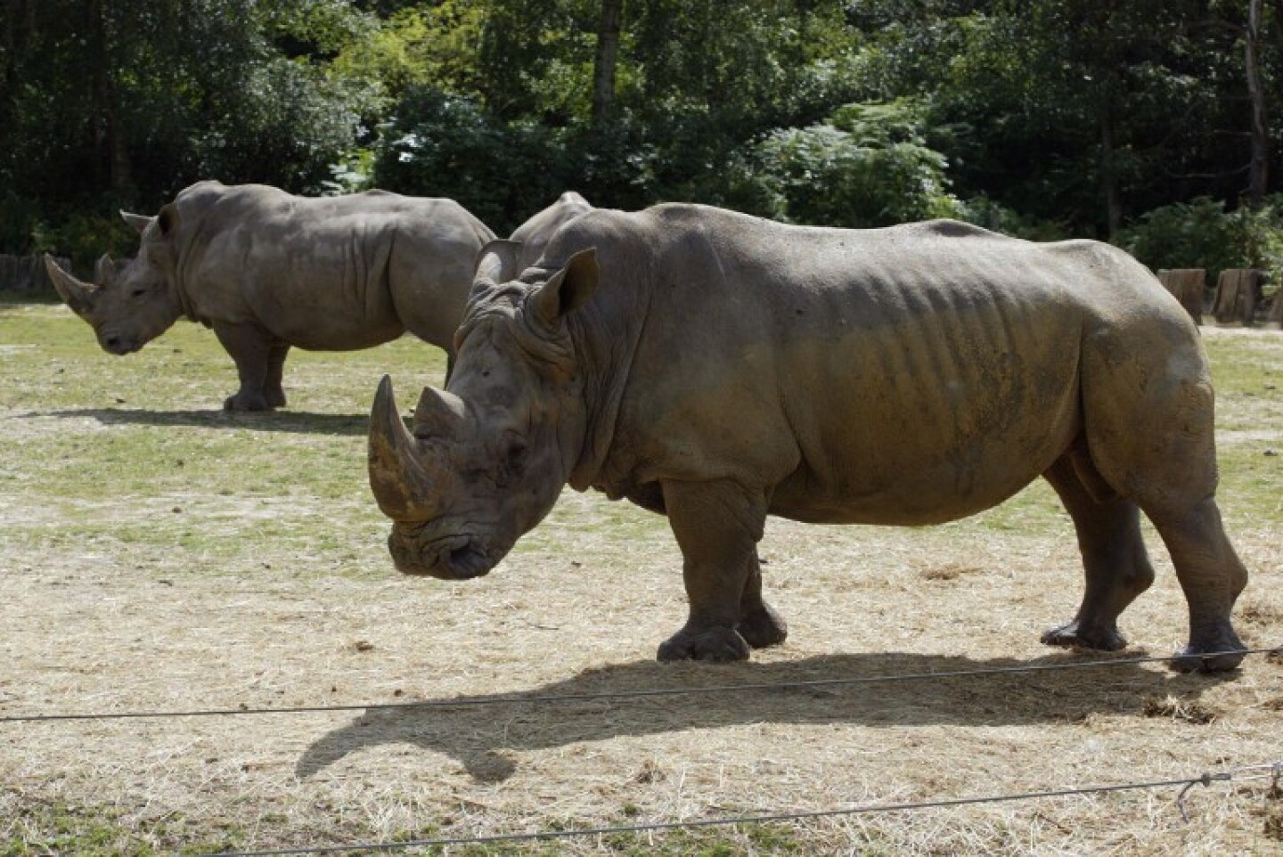 FILES-FRANCE-INVESTIGATION-ANIMALS