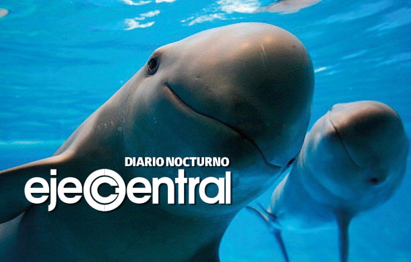 Promo_574_Actualización de la Operación Milagro