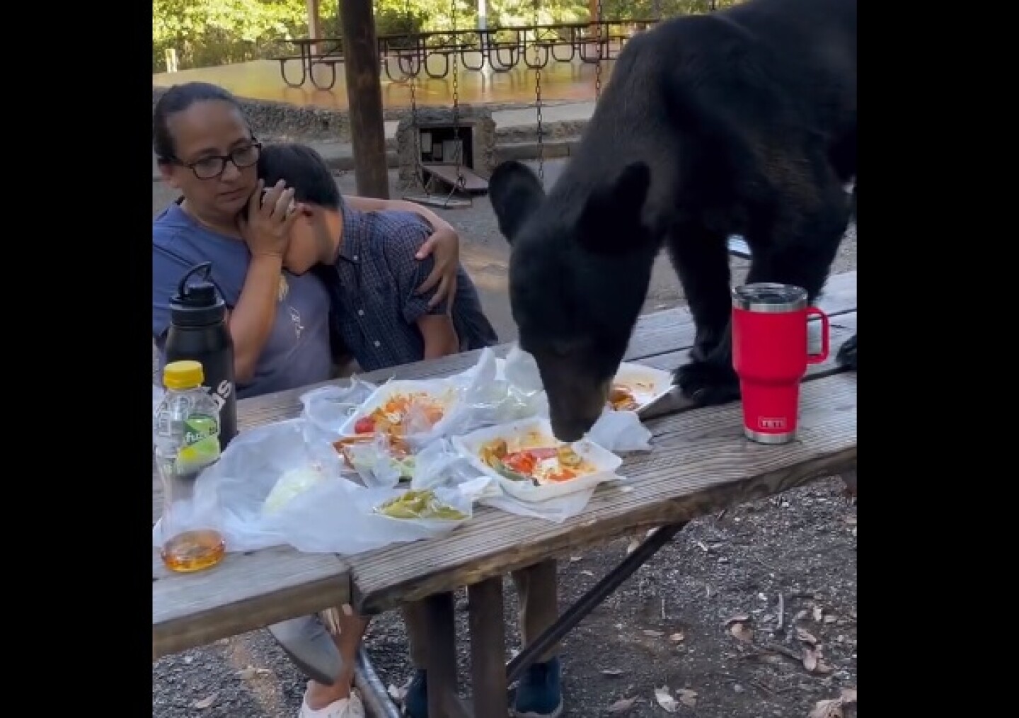 oso