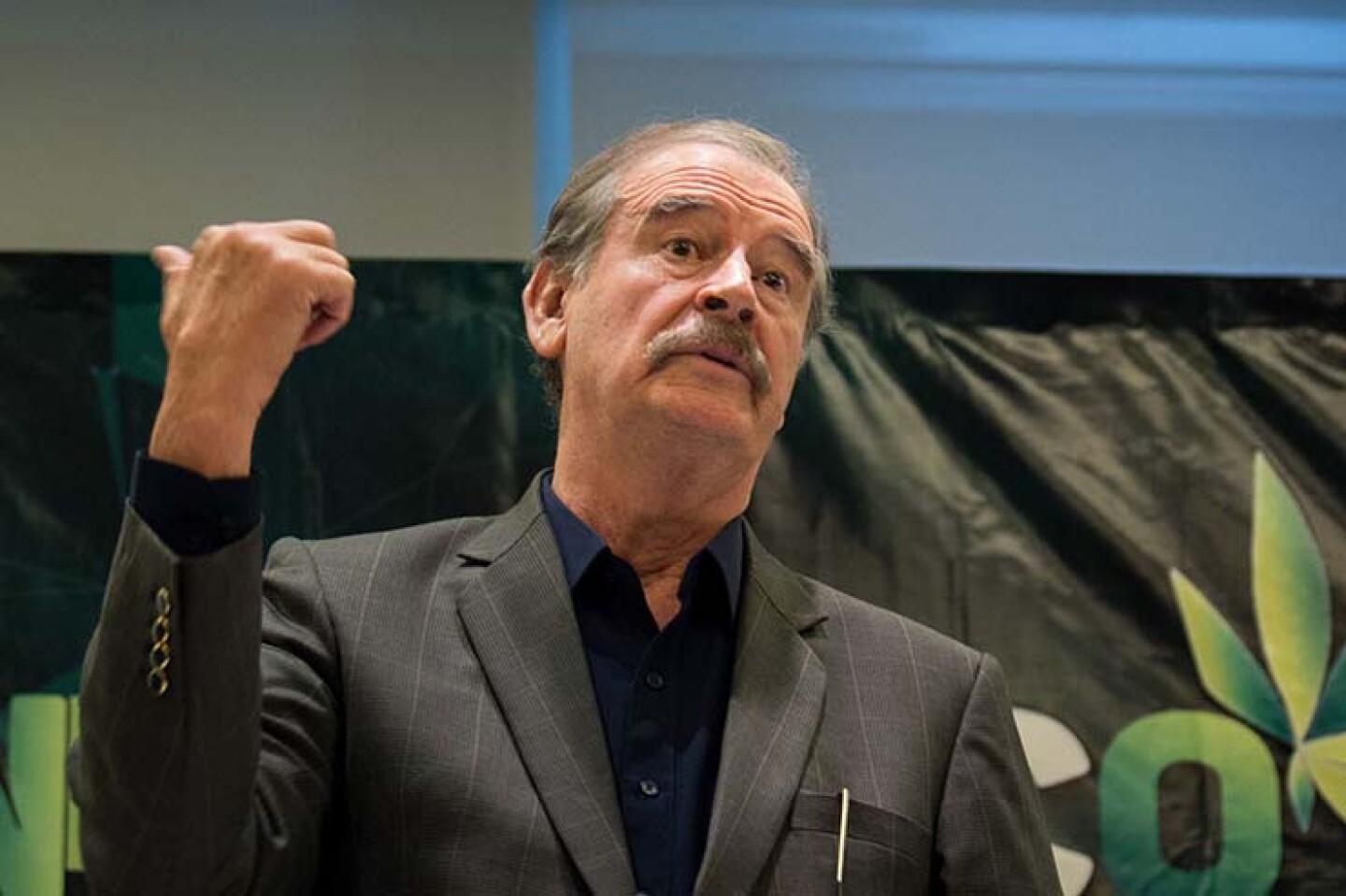 Vicente-Fox-llama-a-boicotear-la-consulta-contra-expresidentes