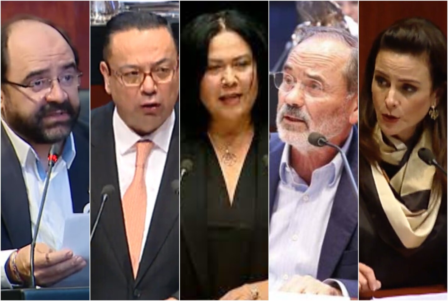 grupo-parlamentario-plural