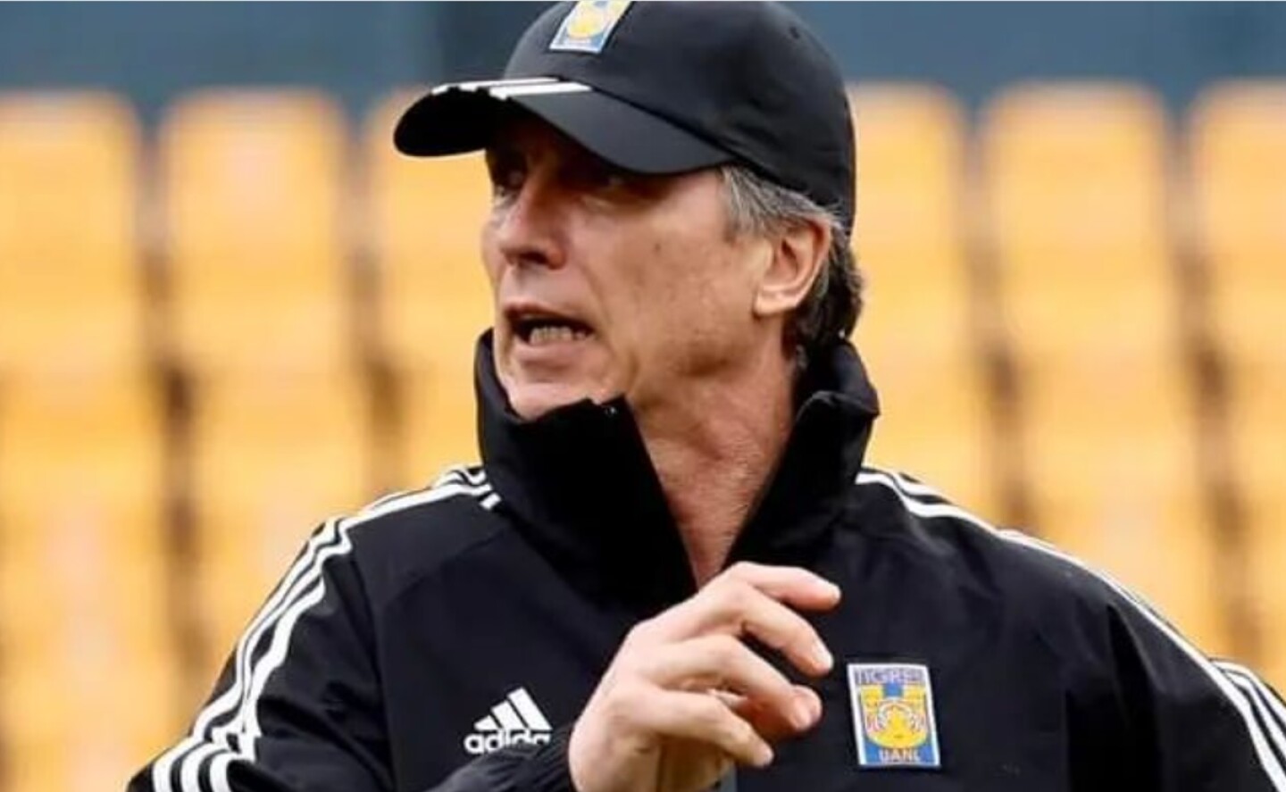 robert_dante_siboldi_tigres_liga_mx