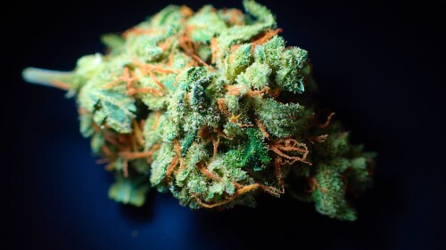 addiction-3792495_1280