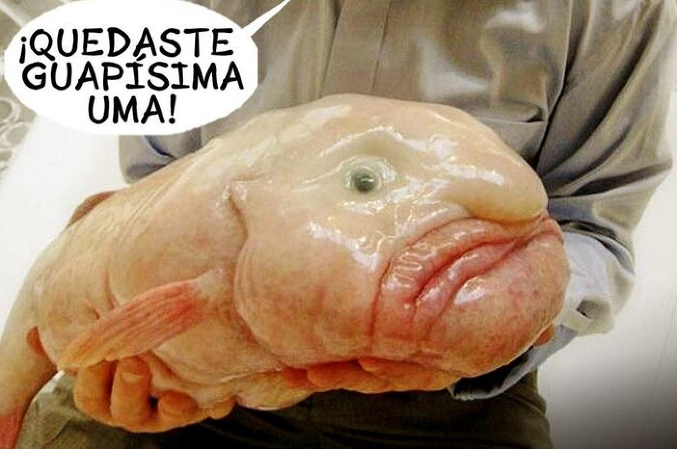 uma13