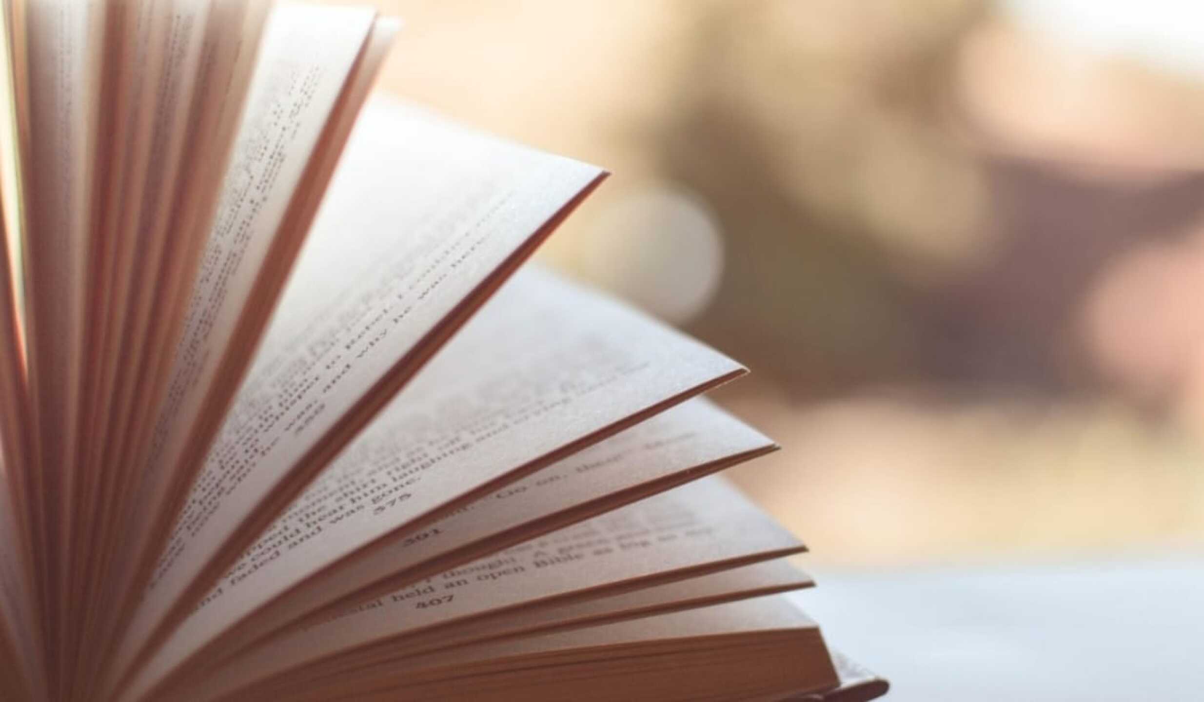 WhatsApp Image 2025-09-14 at 10.33.30 PM.jpeg