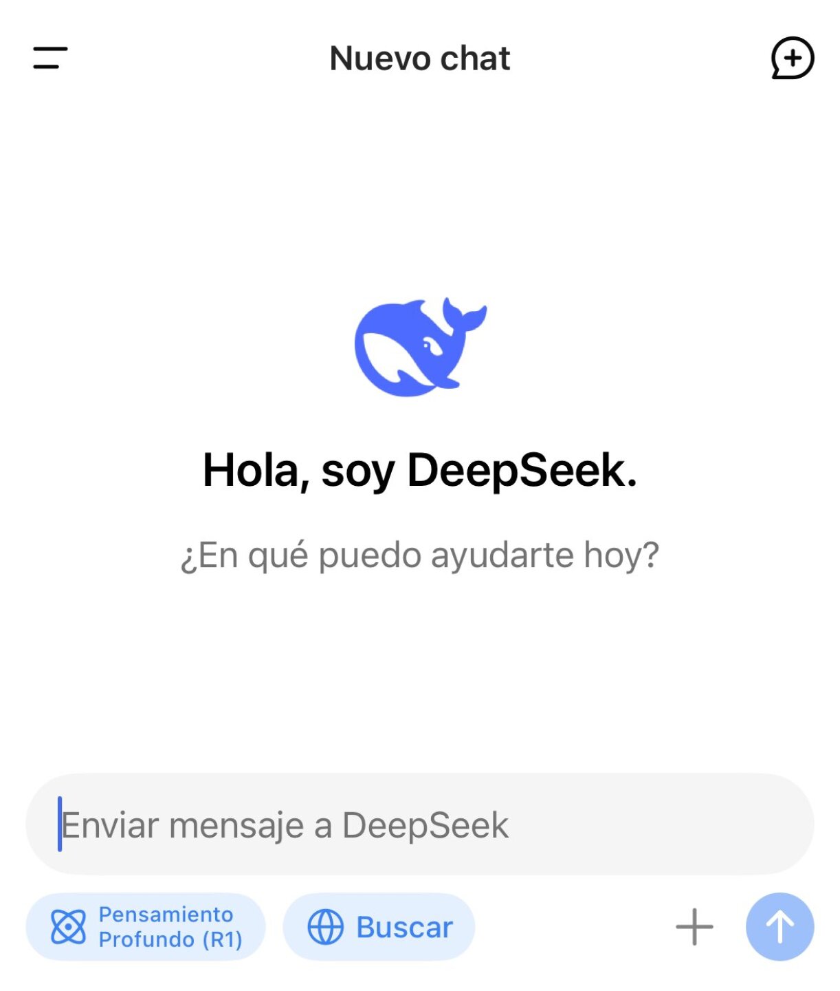 Imagen de DeepSeek