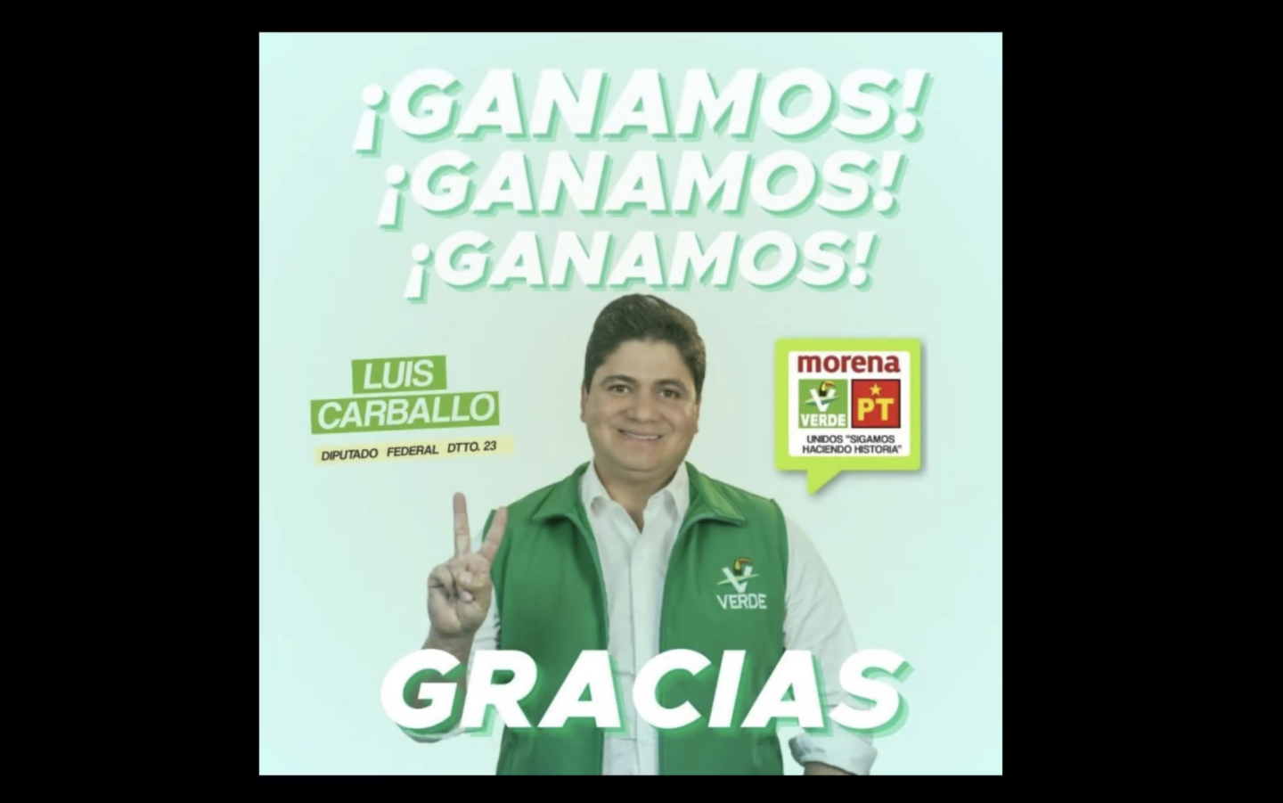 DIPUTADO VERDE.png